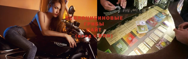 дурь Осинники