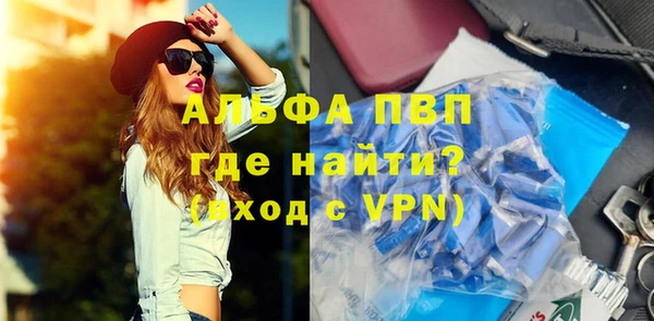 индика Осташков