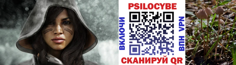 Галлюциногенные грибы прущие грибы  купить наркотики сайты  Анадырь 